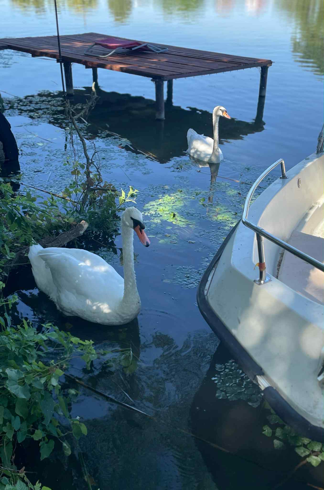 att.__Fob69E_C-095ES6Fho9EYC7YEP9WxZoet3w97rQ48